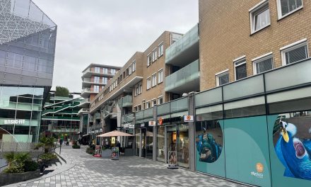 “Geluk en uithoudingsvermogen is de enige formule”