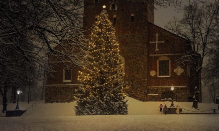 St. Nicolaas kerk verkoopt kerstbomen voor onderhoud