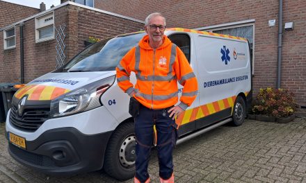 Zo bescherm je jouw huisdier tegen vuurwerkstress