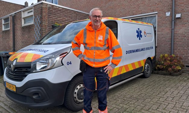 Zo bescherm je jouw huisdier tegen vuurwerkstress