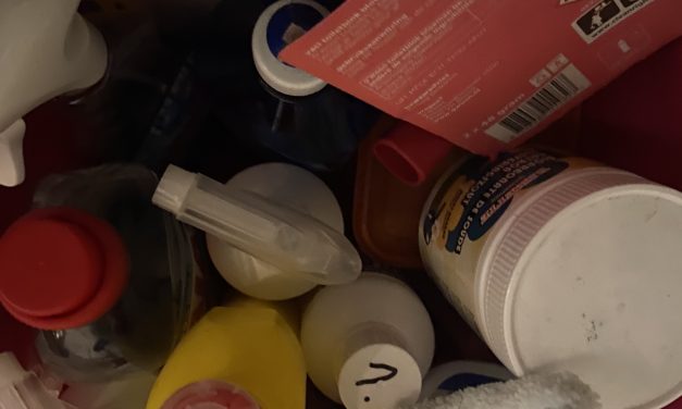 ‘Het ging gewoon niet meer.’