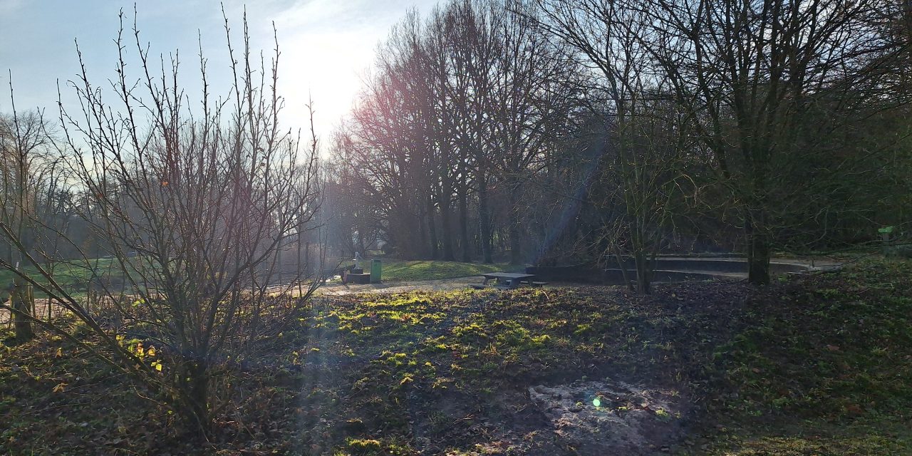 Boswandeling in Park Oudegein