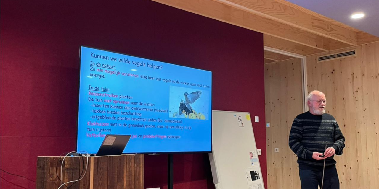 Hoe komen wilde vogels deze extreme winter door, bioloog Luc de Bruijn vertelt het in zijn lezing