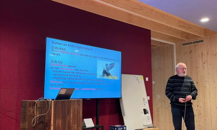 Hoe komen wilde vogels deze extreme winter door, bioloog Luc de Bruijn vertelt het in zijn lezing