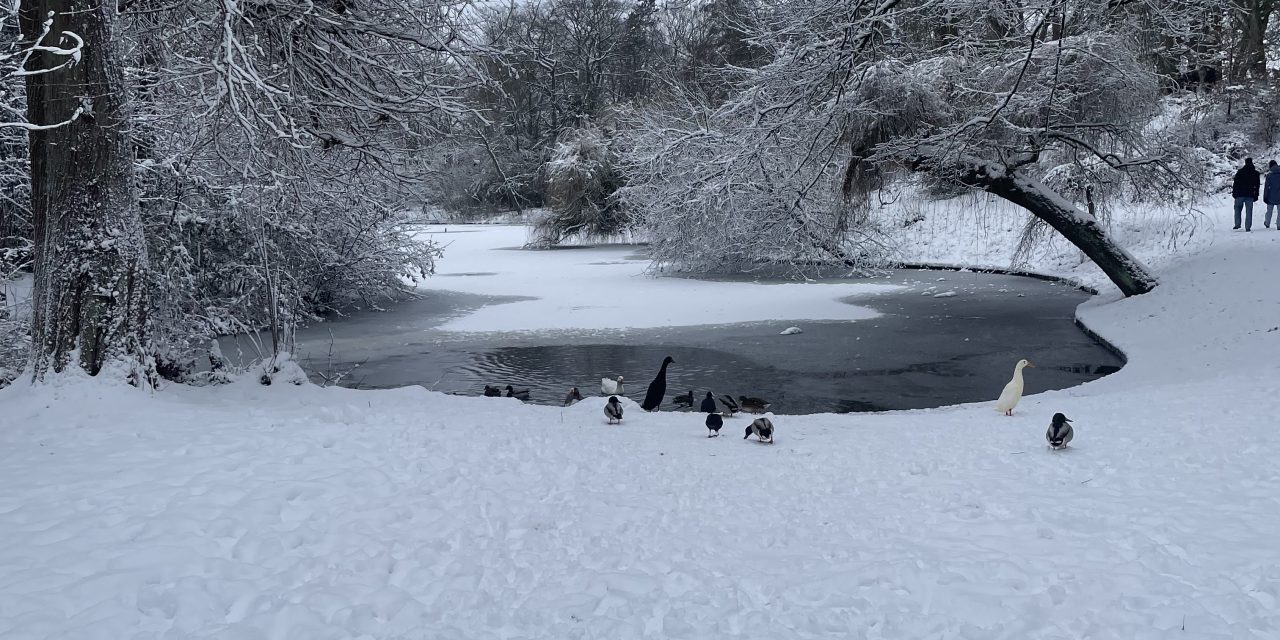 Winter hield school niet dicht