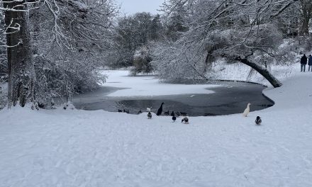 Winter hield school niet dicht