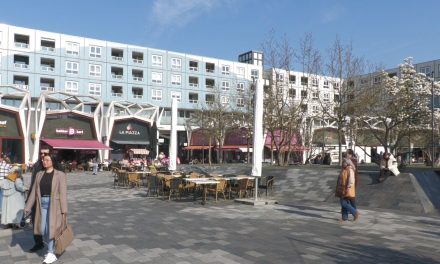 Moet de gemeente qouta invoeren voor gemengde wijken?