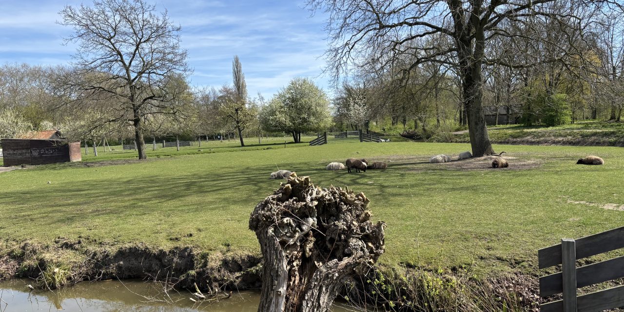 Op zoek naar de lente: Een kijkje achter de schermen bij het Natuurkwartier