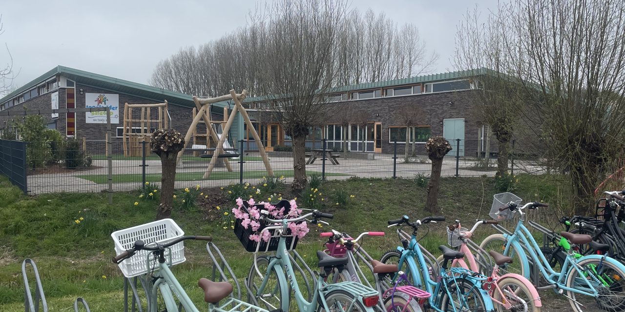 Ruimte voor talent: binnenkijken bij Day a Week School