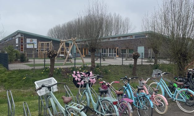 Ruimte voor talent: binnenkijken bij Day a Week School