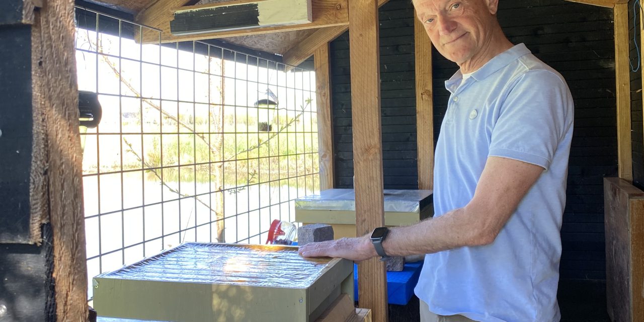 Provincie stopt met bestrijden: imkers vrezen opmars van ‘bijendoder’