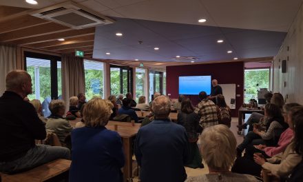 Onkruid is ook een bloem, als je het eenmaal leert kennen.