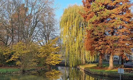 Van boerderij naar B&B