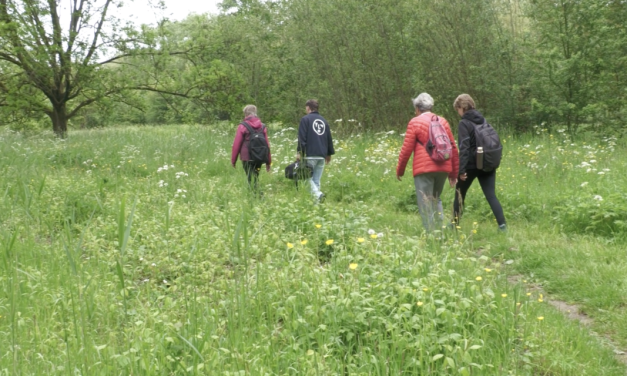 Persoonlijke verhalen centraal tijdens derde themawandeling in Nieuwegein