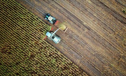 De graanruzie tussen Polen en Oekraïne escaleert, dit is er aan de hand