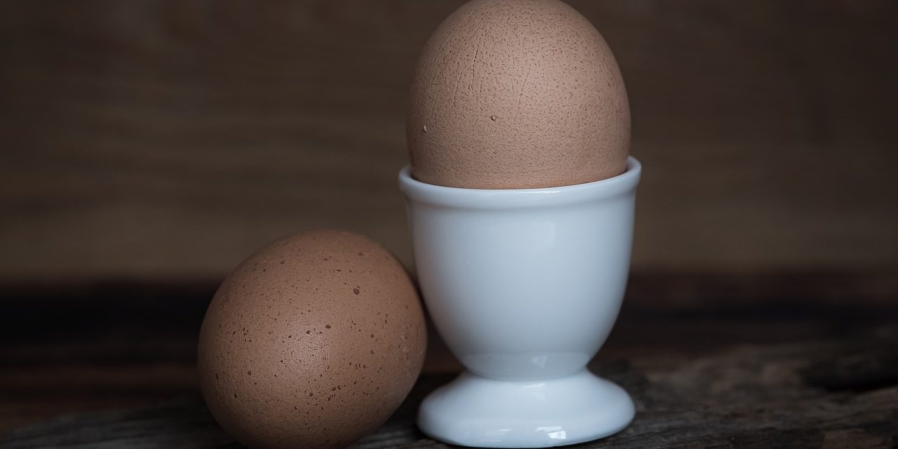 Factcheck: Houdbaarheid van eieren verlengen is een eitje