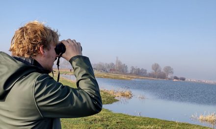 Besluit tot mijden van gemotoriseerd verkeer in natuurgebied Fochteloërveen in Friesland uit zorg voor de natuur