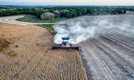Factcheck: Stikstofbeleid is een verzonnen excuus om zo goedkoop boeren hun landgrond af te nemen?