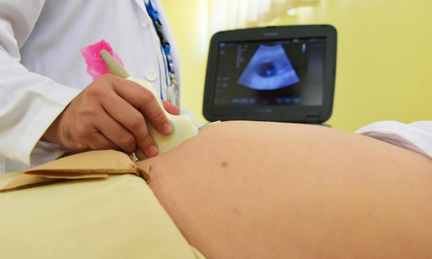 FACTCHECK: Pro-life organisatie Schreeuw om Leven toont misleidende informatie over embryo