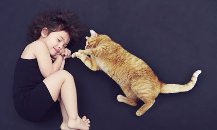 Factcheck: Het hebben van huisdieren verbetert het immuunsysteem van kinderen