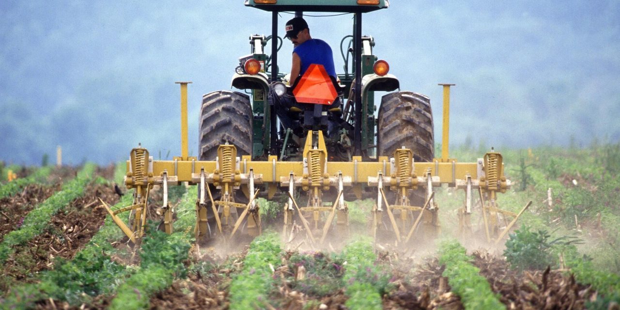 Factcheck: ‘Heel de Quote 500 staat vol met mensen die verdienen aan de boer’