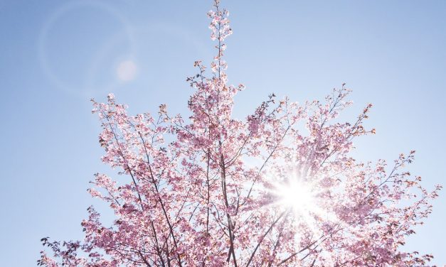 Factcheck: is de lentezon net zo schadelijk als de zomerzon?