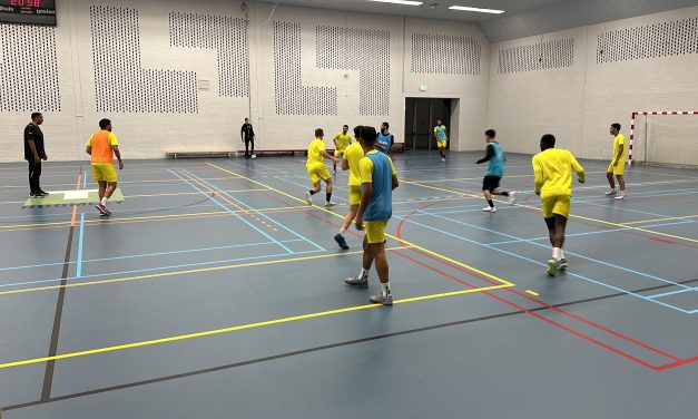 De aandacht voor futsal in Nederland