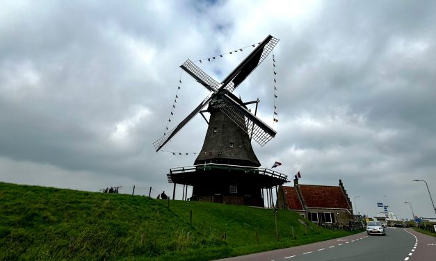 Wat is de toekomst van de Nederlandse molen?