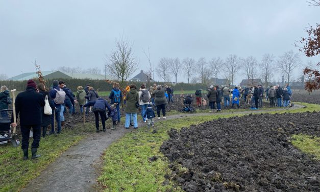 Boomplanting voor bewustwording over natuur bij kinderen: “Van mij mag dit veel vaker gebeuren”