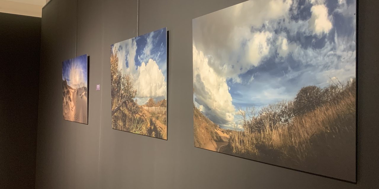Hoe Poolse kunst Europa verbindt: tussen identiteit, natuur en diplomatie