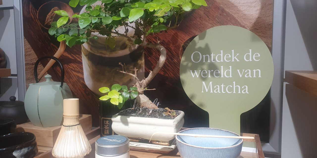 Matcha wordt duurder door stijgende populariteit