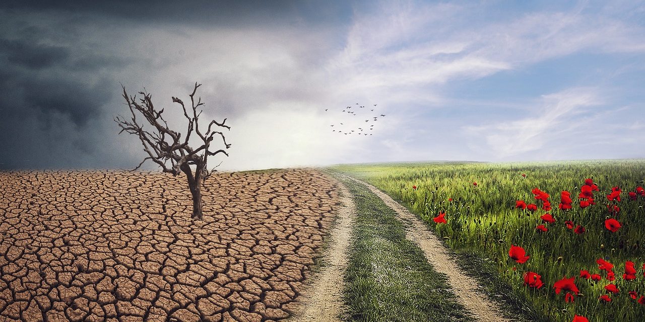 Factcheck: Heeft Nederland “nagenoeg geen invloed” op het klimaat?