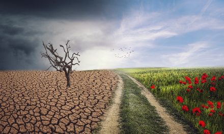 Factcheck: Heeft Nederland “nagenoeg geen invloed” op het klimaat?