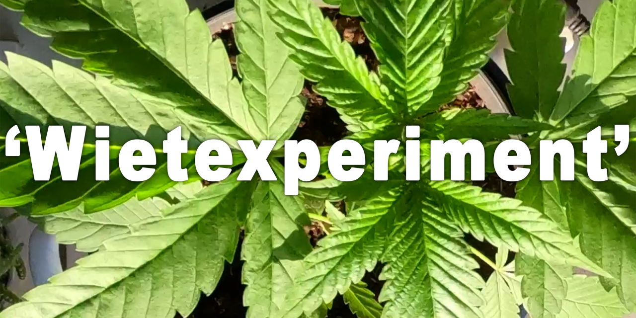 Blijft het Wietexperiment een experiment?