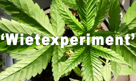 Blijft het Wietexperiment een experiment?
