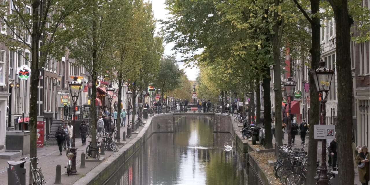 Nieuwe ontwikkelingen in cold case van Betty Szabó