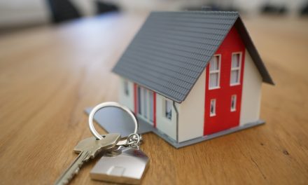 Eigen Huis, Steuntje van Thuis
