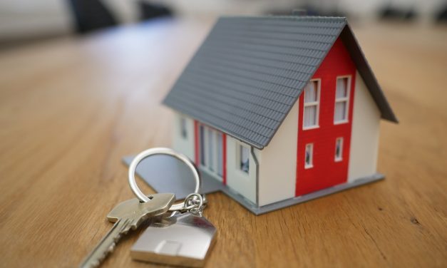 Eigen Huis, Steuntje van Thuis