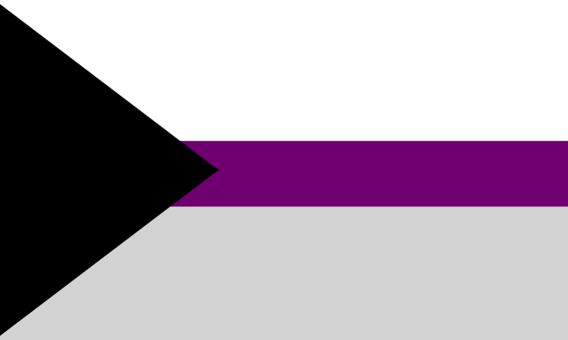 Leven zonder seksuele aantrekking, maar met verbinding