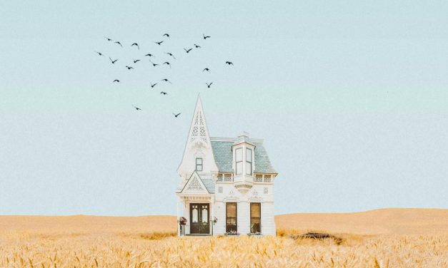 Factcheck: Een op de zeven daklozen in Nederland is kind