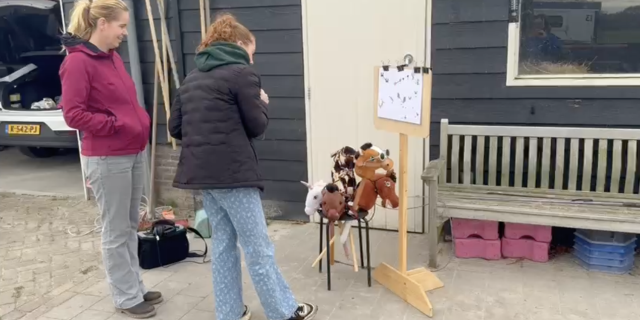 Hobbyhorsen: lol voor jong en oud