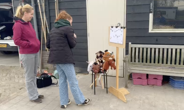 Hobbyhorsen: lol voor jong en oud