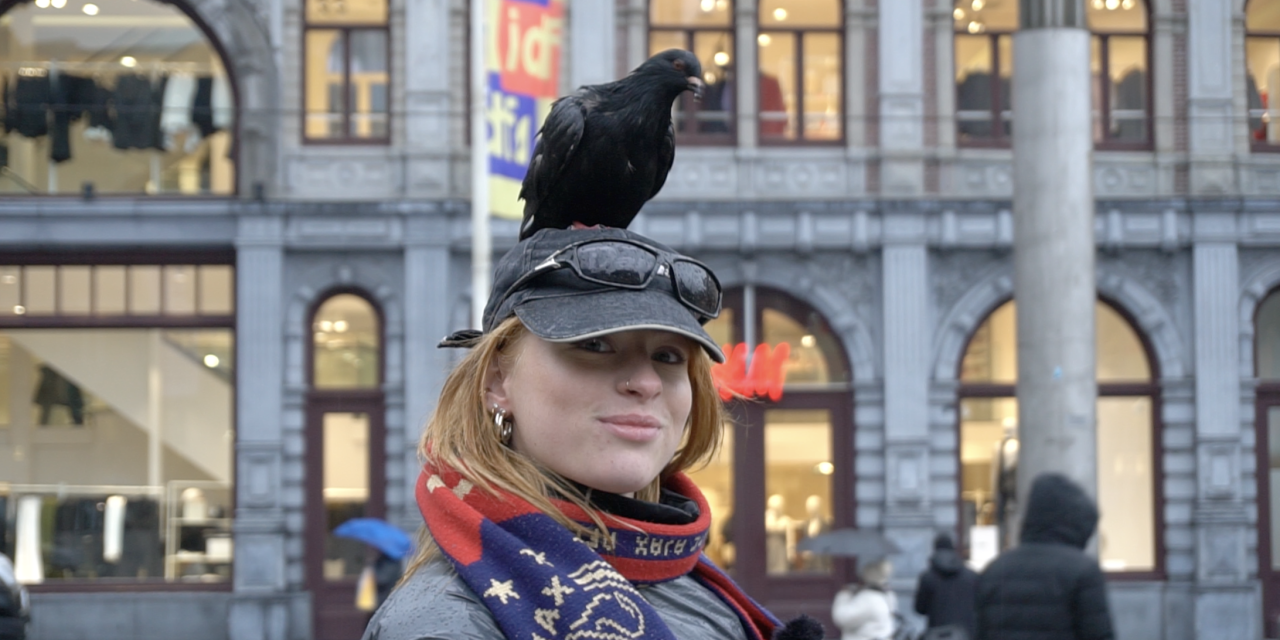 Van vliegende rat, naar vriend in de stad
