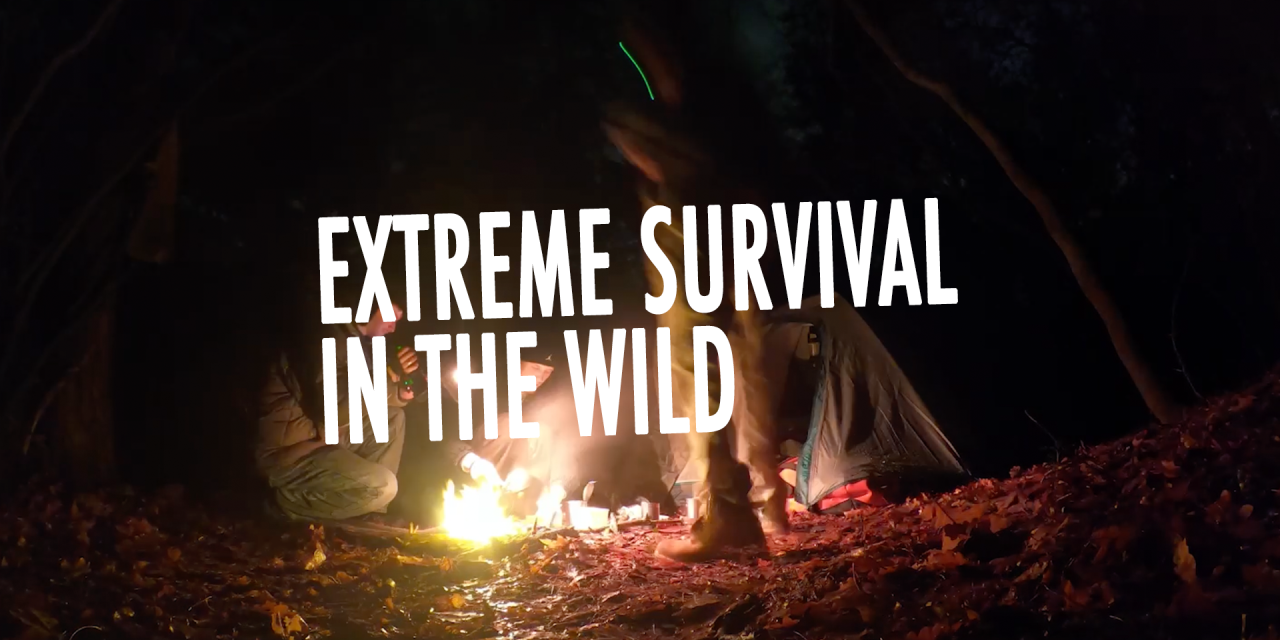 Extreme Survival in the Wild