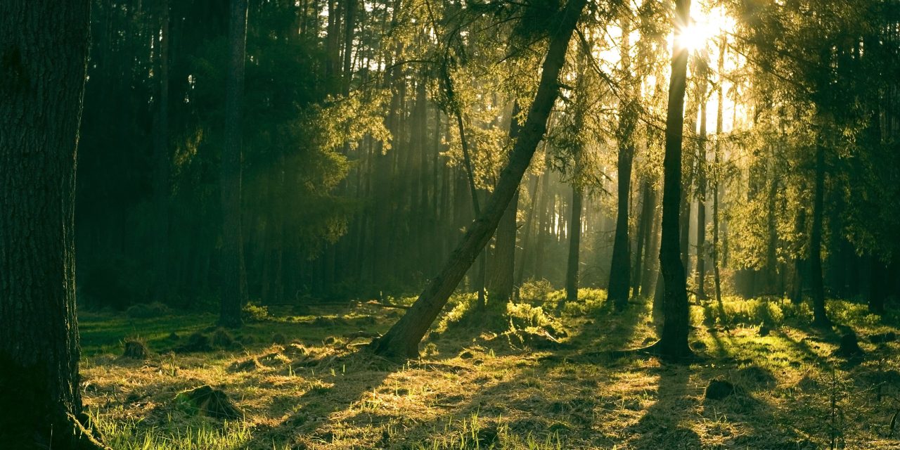 Frikandellenbossen verdwijnen: ‘Waar gaan we nu heen?’