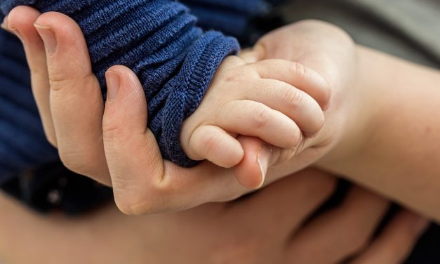 Nederland en Polen: Twee Reacties Op Een Dalend Geboortecijfer