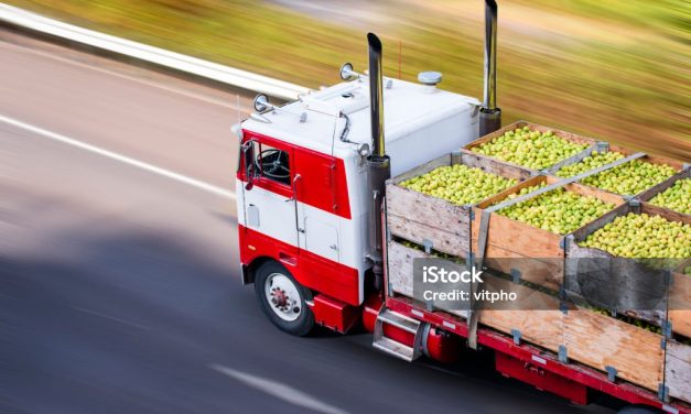 Factcheck: export blijft vooral in Europa, niet binnen 700 kilometer