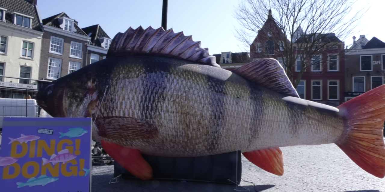 Een opblaas Baars op het Neude, maar waarom?