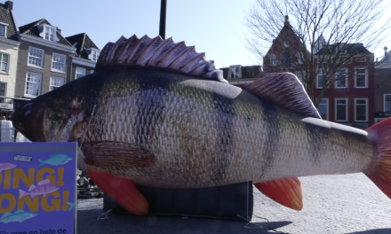 Een opblaas Baars op het Neude, maar waarom?