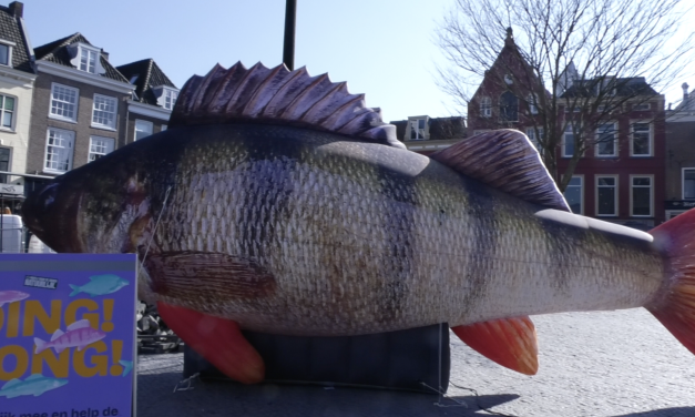 Een opblaas Baars op het Neude, maar waarom?